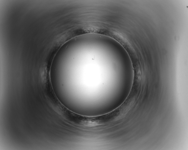X0000088700498200705311217