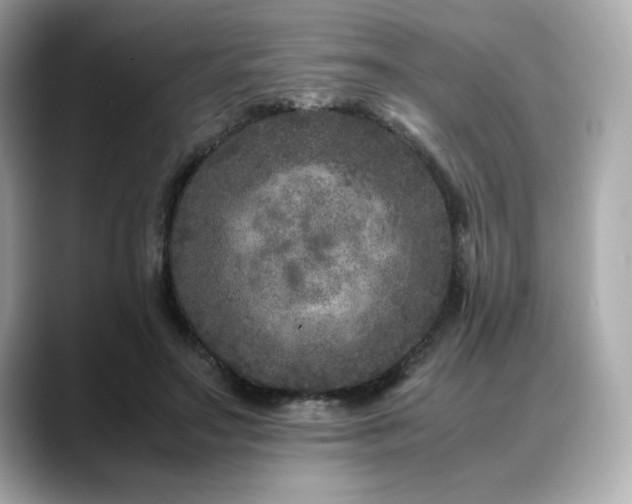 X0000088700499200705311217