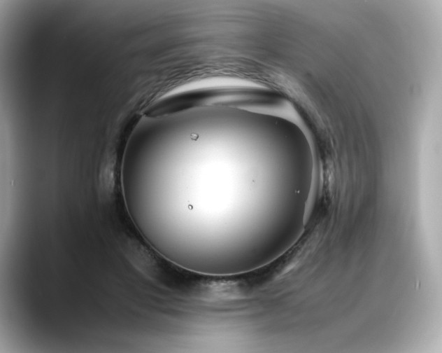 X0000088700501200705311217