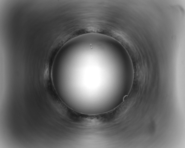 X0000088700502200705311217