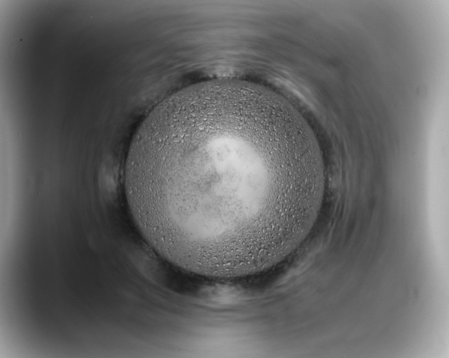 X0000088700503200705311217