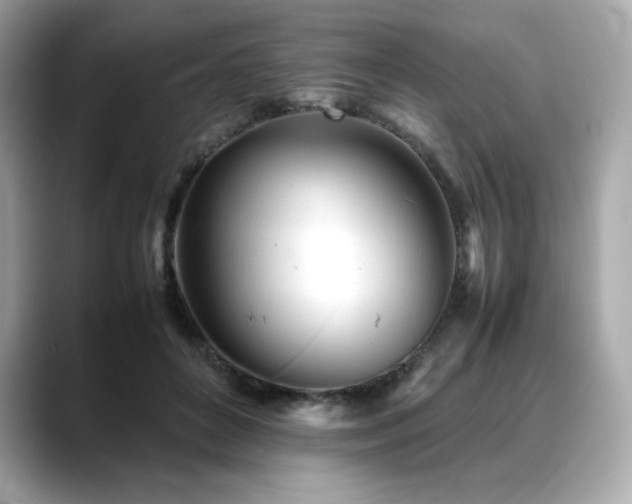 X0000088700504200705311217