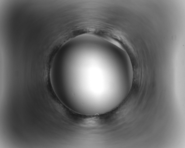 X0000088700505200705311217