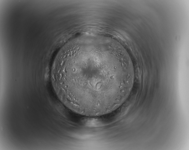 X0000088700507200705311217