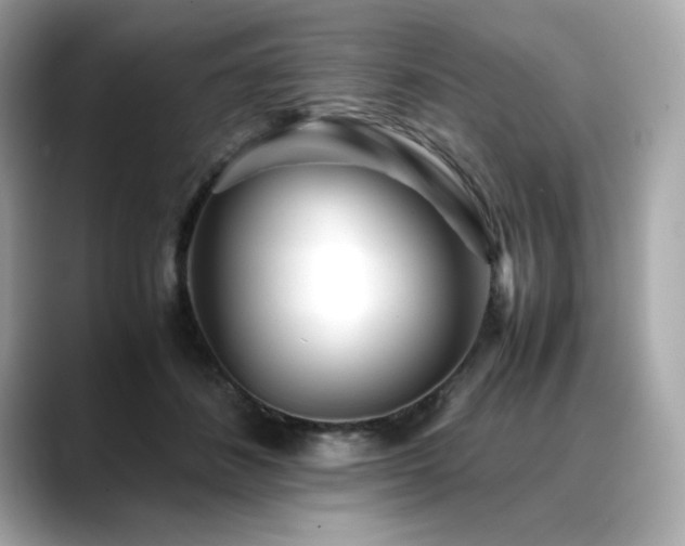 X0000088700508200705311217