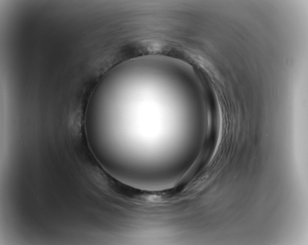 X0000088700509200705311217