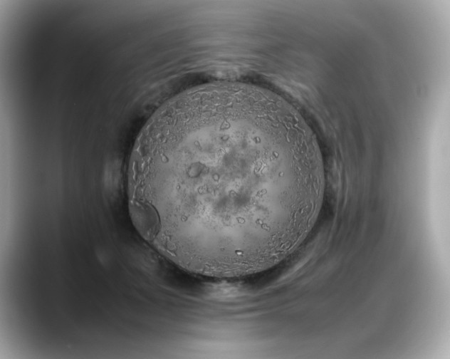 X0000088700511200705311217