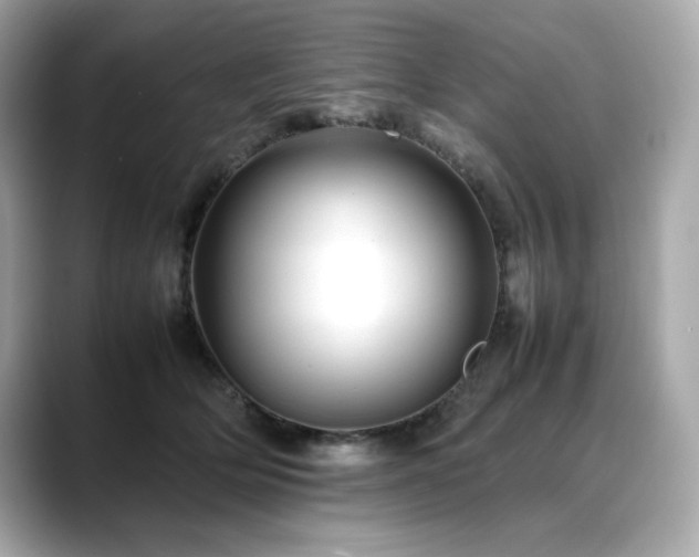 X0000088700514200705311217