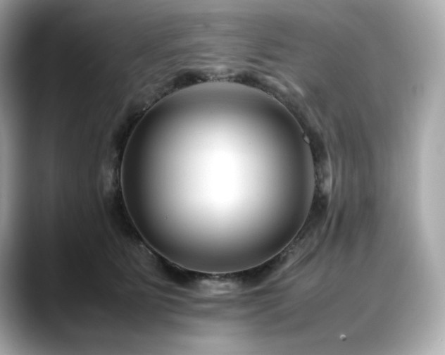 X0000088700515200705311217