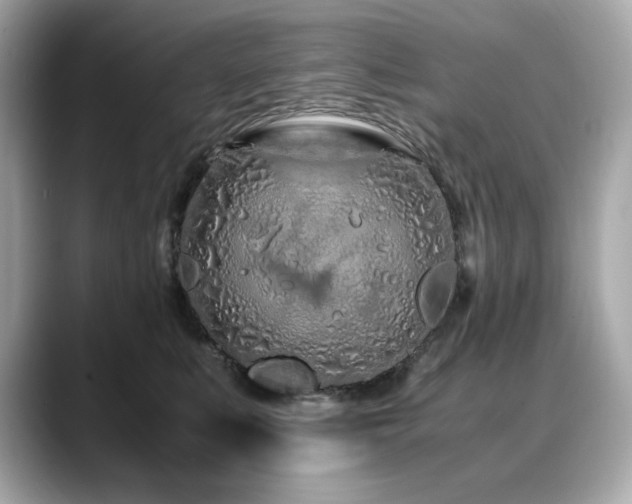 X0000088700519200705311217