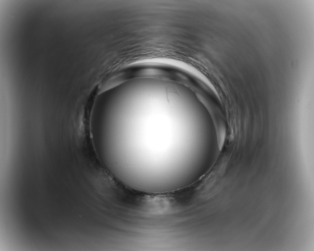 X0000088700520200705311217