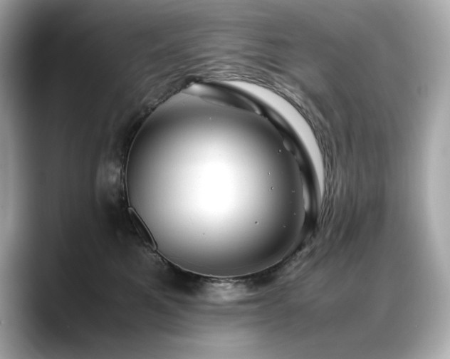 X0000088700521200705311217