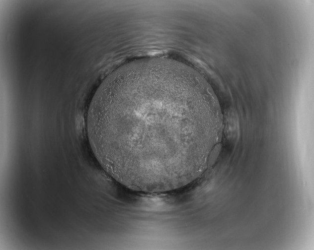 X0000088700523200705311217