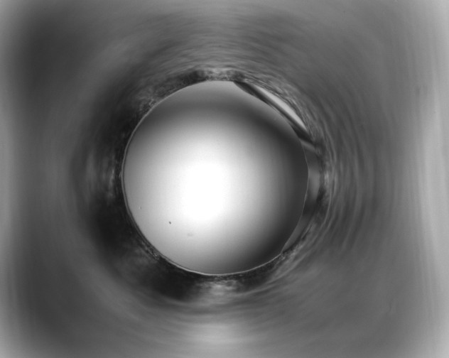 X0000088700525200705311217