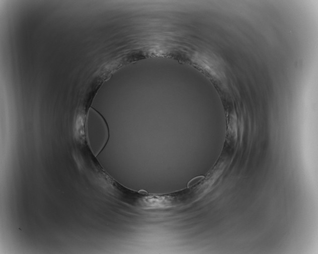 X0000088700526200705311217