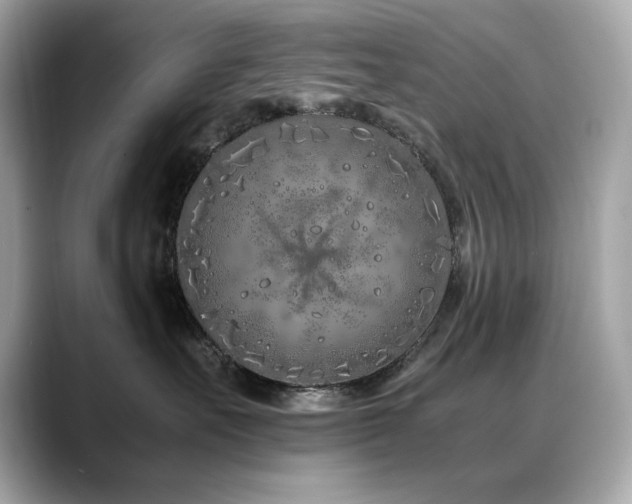 X0000088700527200705311217