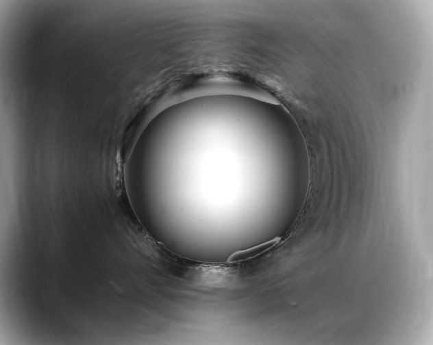 X0000088700528200705311217