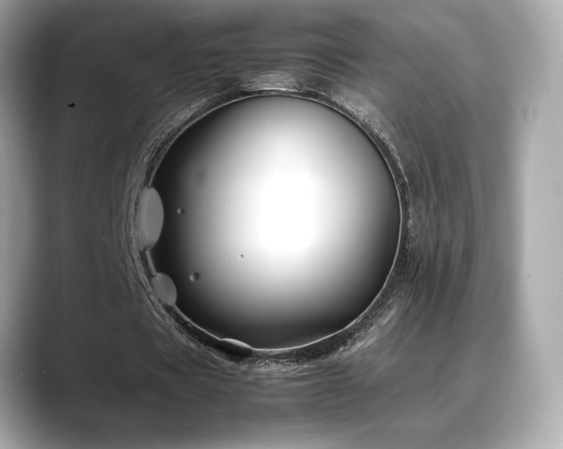 X0000088700529200705311217