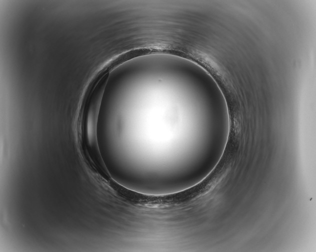 X0000088700532200705311217