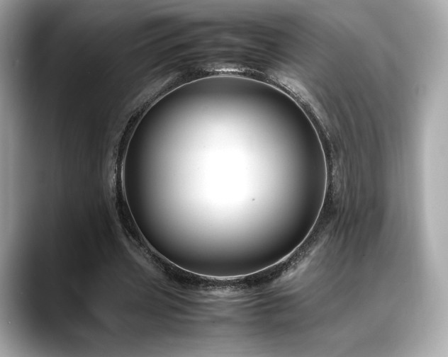 X0000088700533200705311217