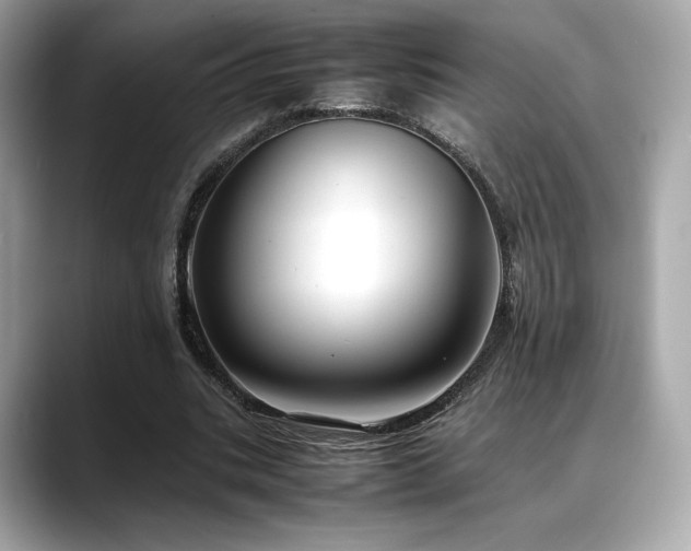 X0000088700535200705311217