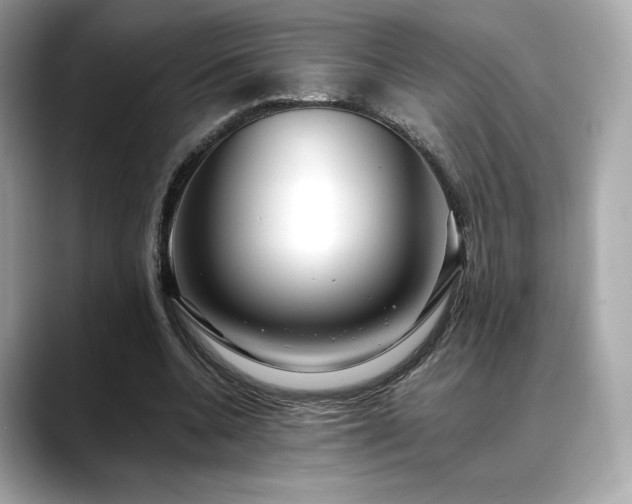 X0000088700536200705311217