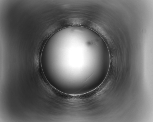 X0000088700537200705311217