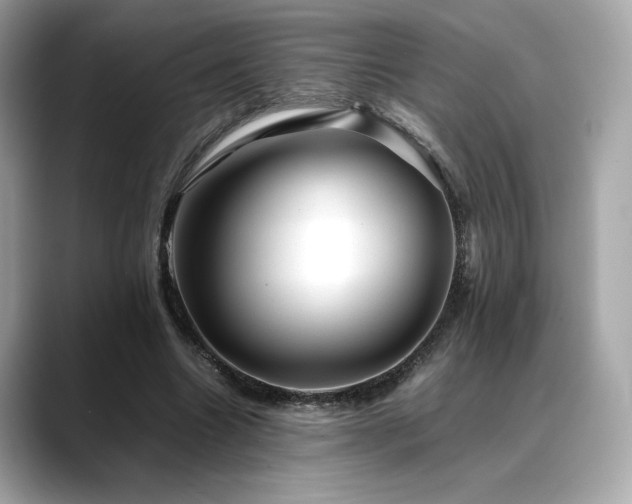X0000088700538200705311217