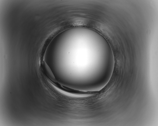 X0000088700539200705311217