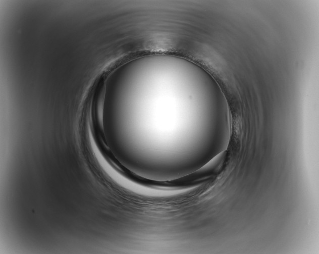 X0000088700540200705311217