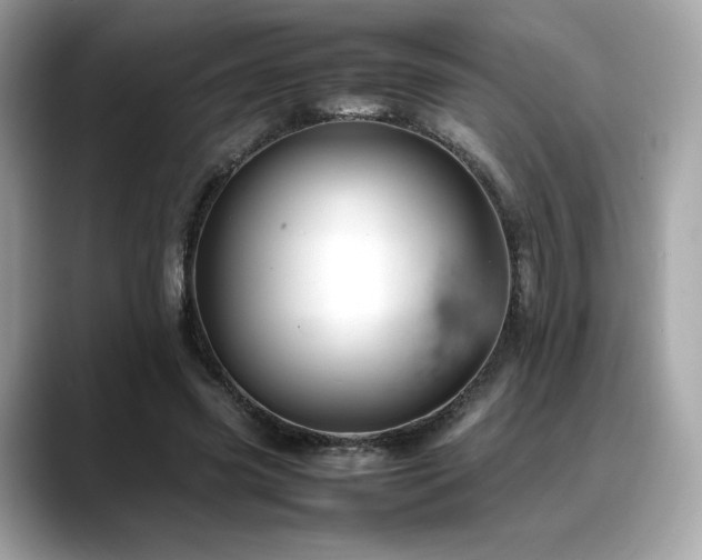 X0000088700541200705311217