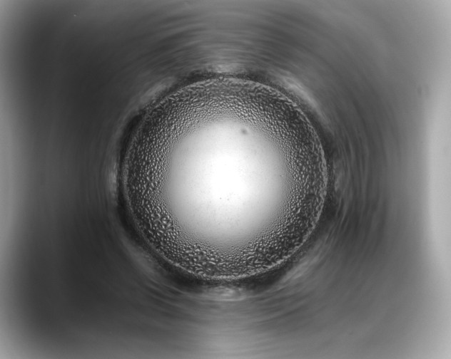 X0000088700542200705311217