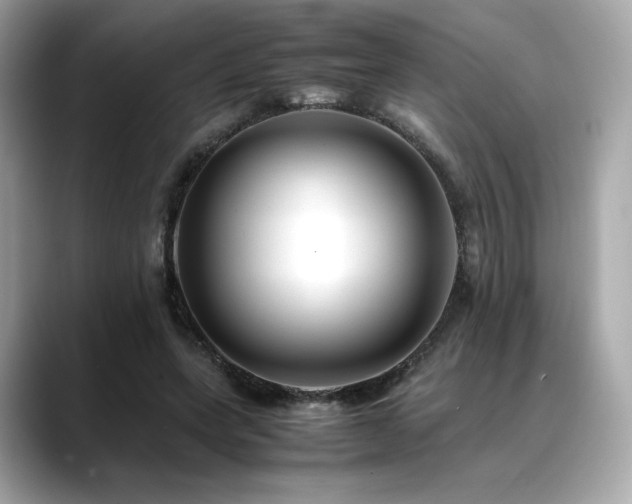 X0000088700543200705311217