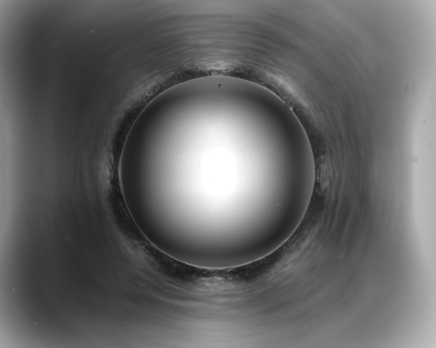 X0000088700544200705311217