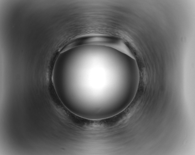 X0000088700546200705311217