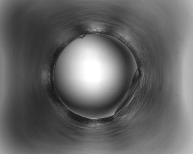 X0000088700547200705311217