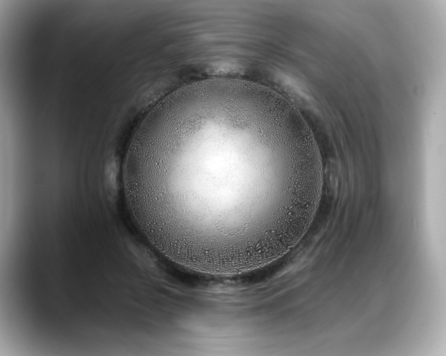 X0000088700550200705311217