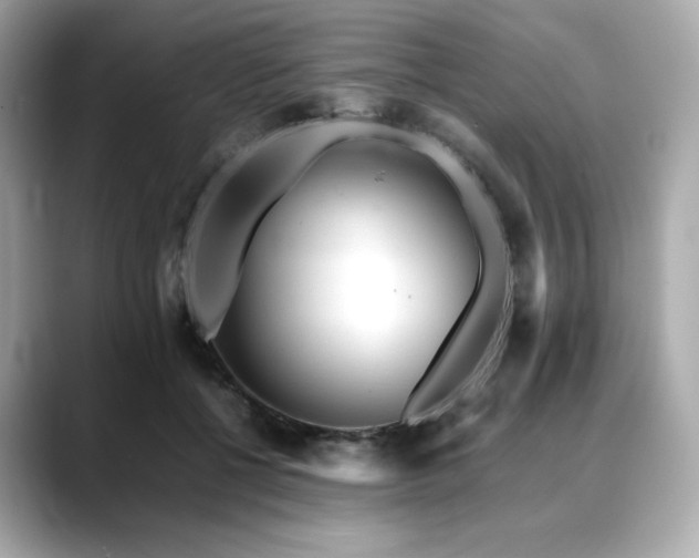 X0000088700552200705311217