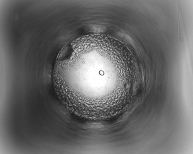 X0000088700553200705311217