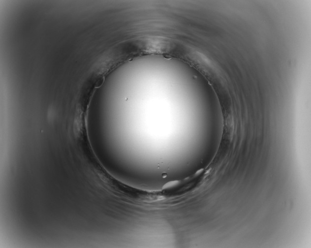 X0000088700554200705311217