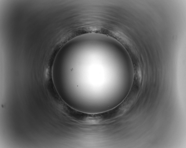 X0000088700556200705311217