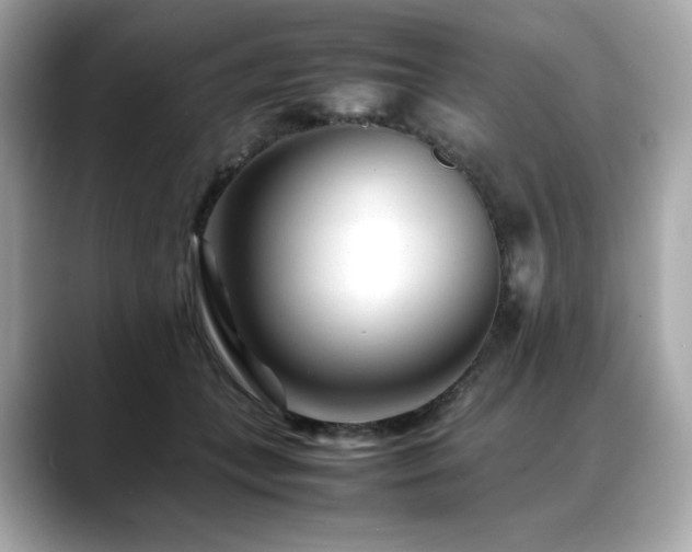 X0000088700559200705311217