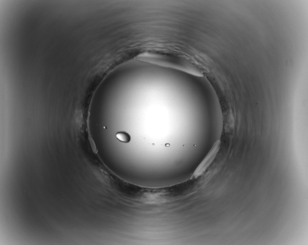 X0000088700560200705311217