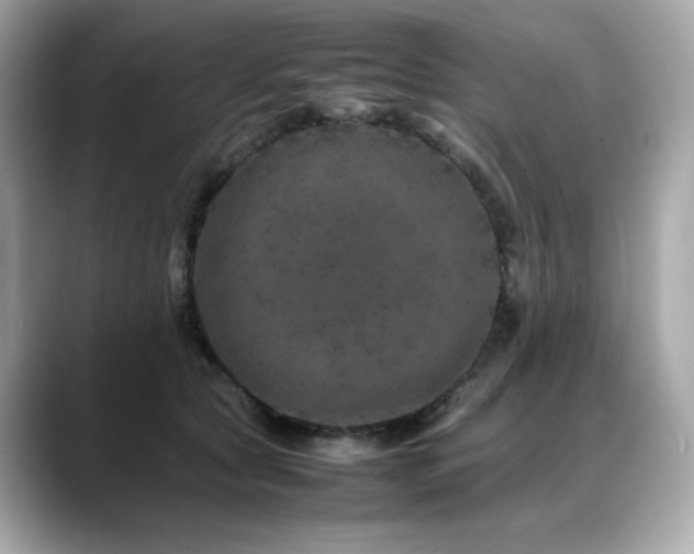 X0000088700561200705311217