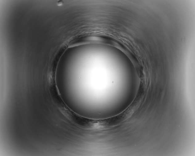 X0000088700564200705311217