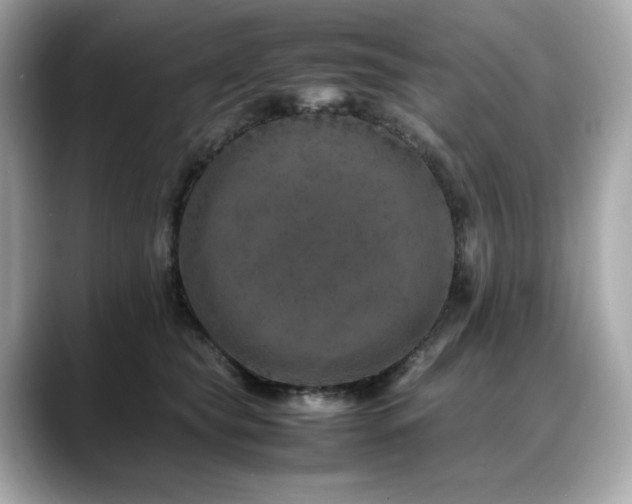 X0000088700565200705311217