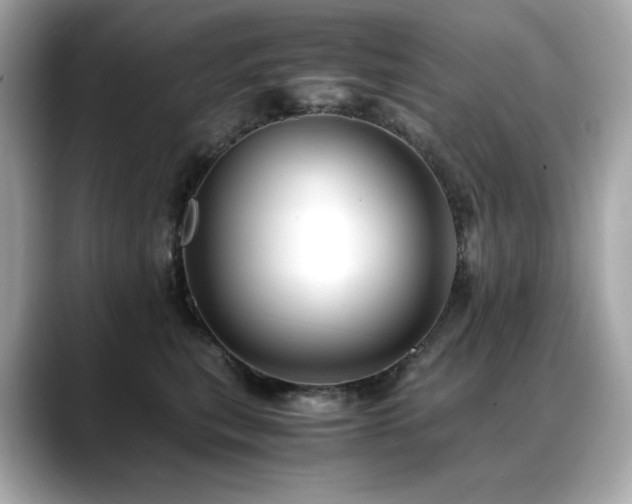 X0000088700567200705311217