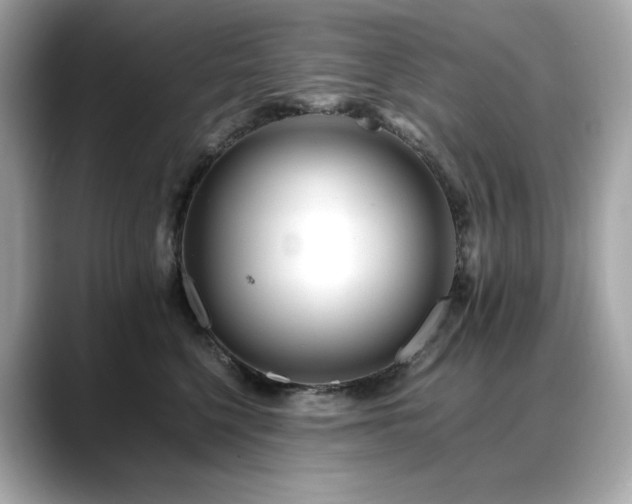 X0000088700568200705311217