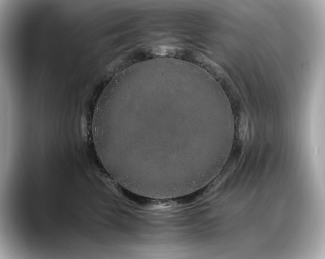 X0000088700569200705311217