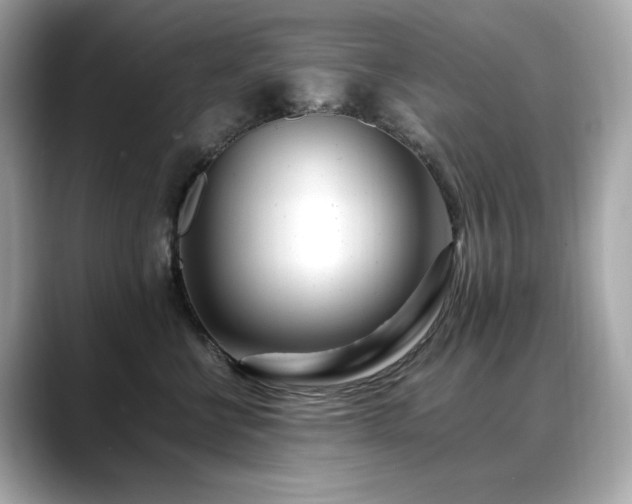 X0000088700570200705311217